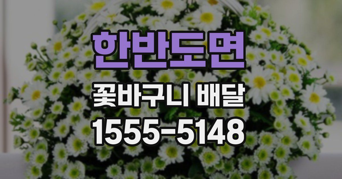 한반도면 꽃바구니 배달