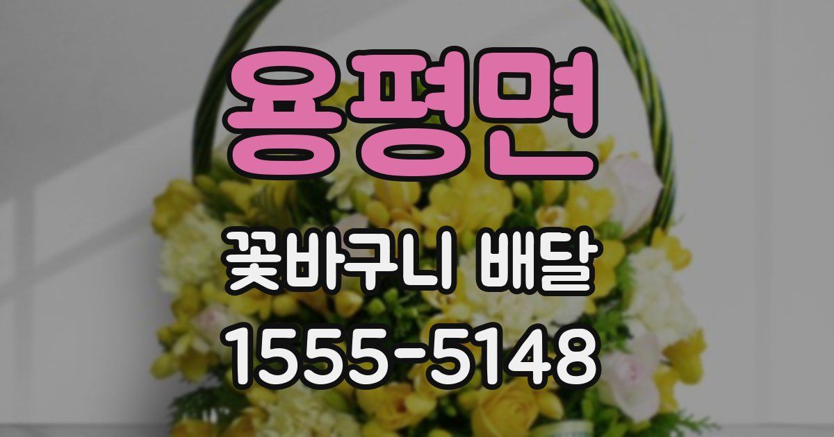 용평면 꽃바구니 배달