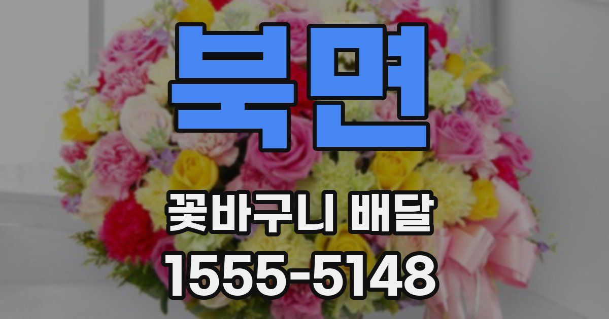 북면 꽃바구니 배달