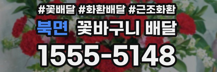 북면 꽃바구니 배달