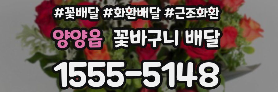 양양읍 꽃바구니 배달
