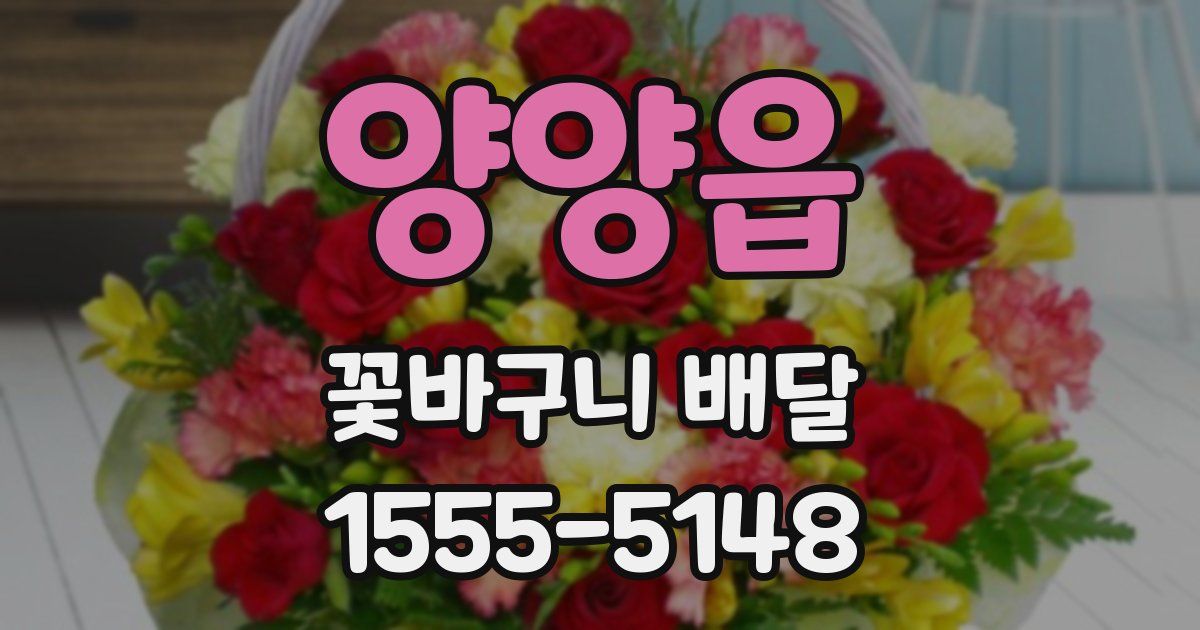 양양읍 꽃바구니 배달