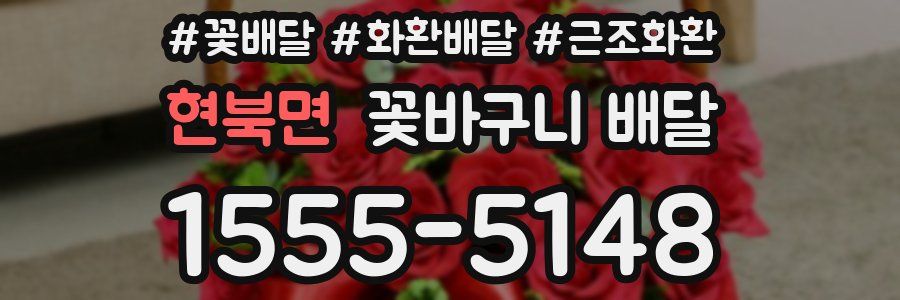 현북면 꽃바구니 배달