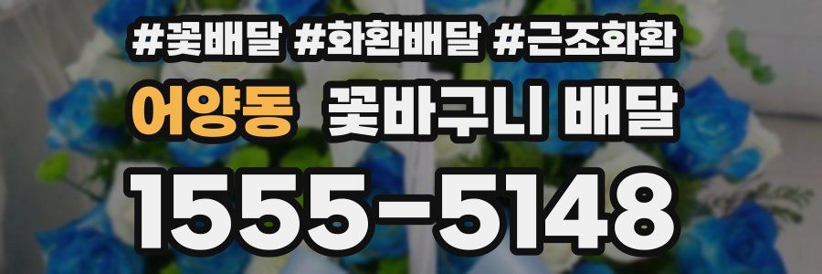 어양동 꽃바구니 배달