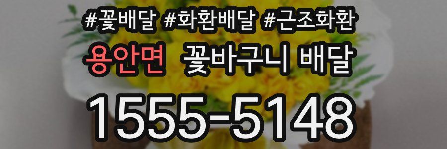 용안면 꽃바구니 배달