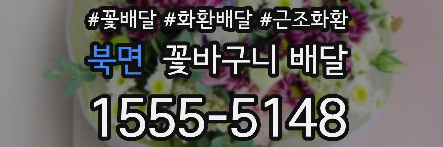 북면 꽃바구니 배달