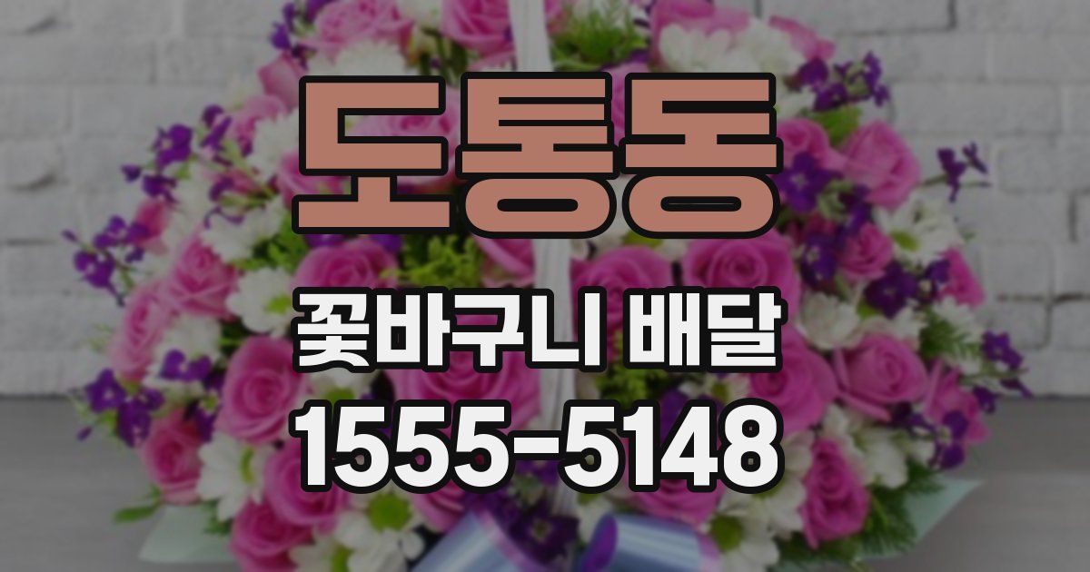 도통동 꽃바구니 배달