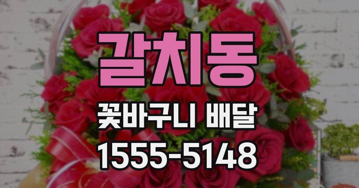 갈치동 꽃바구니 배달