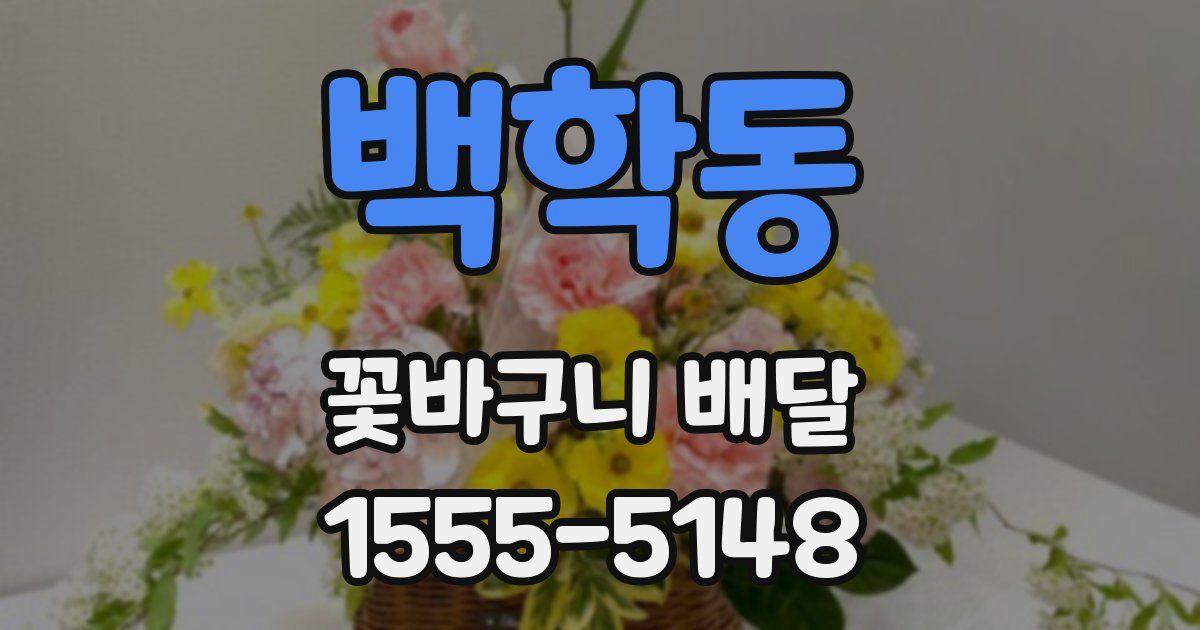 백학동 꽃바구니 배달