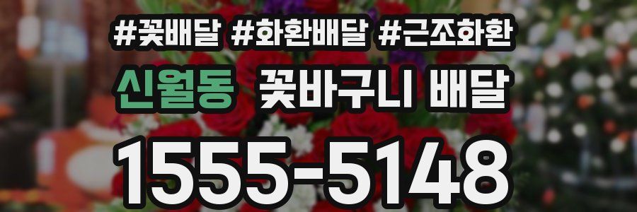 신월동 꽃바구니 배달