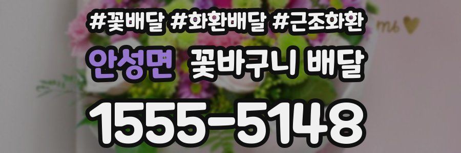 안성면 꽃바구니 배달