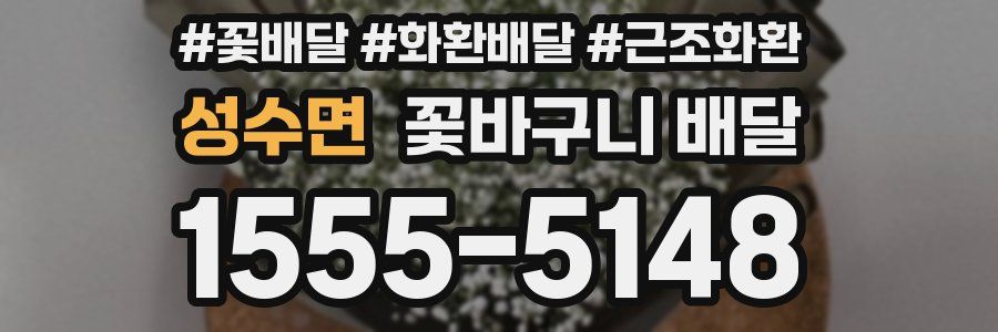 성수면 꽃바구니 배달