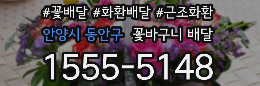 안양시 동안구 꽃바구니 배달