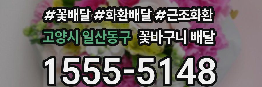 고양시 일산동구 꽃바구니 배달