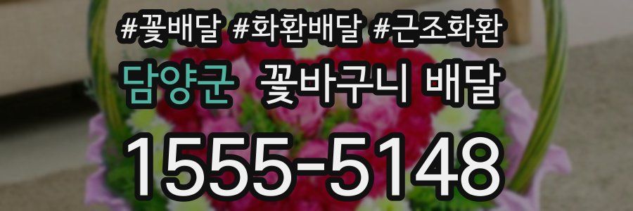 담양군 꽃바구니 배달