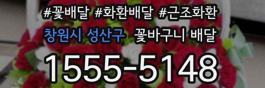 창원시 성산구 꽃바구니 배달