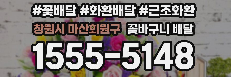 창원시 마산회원구 꽃바구니 배달