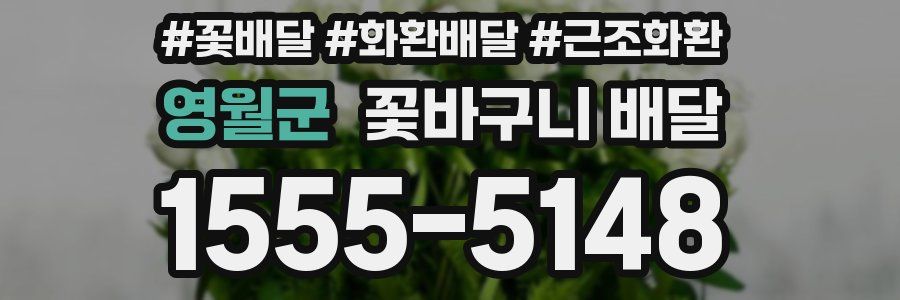 영월군 꽃바구니 배달
