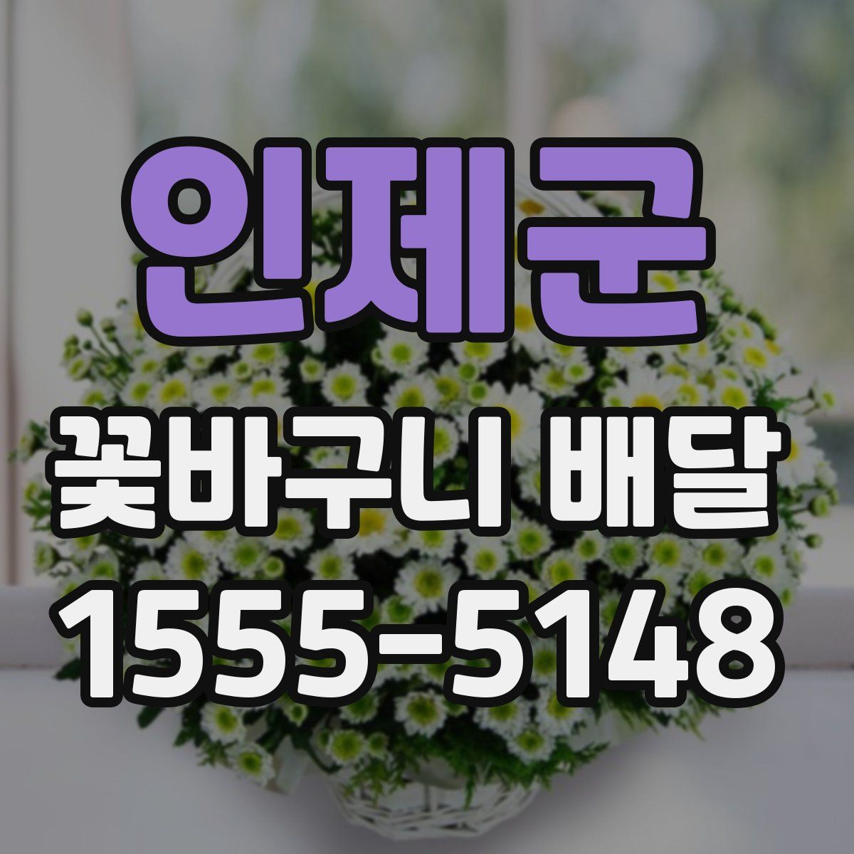 인제군 꽃바구니 배달