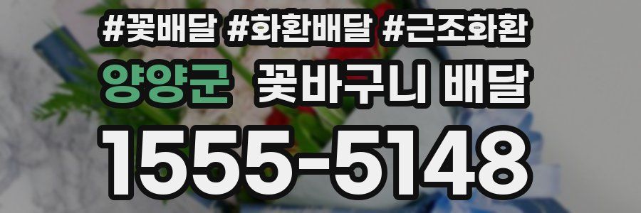 양양군 꽃바구니 배달