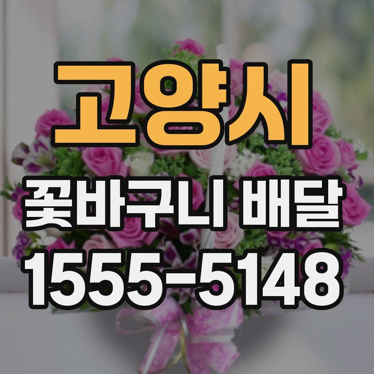 고양시 꽃바구니 배달 취향별 추천 포인트 정리