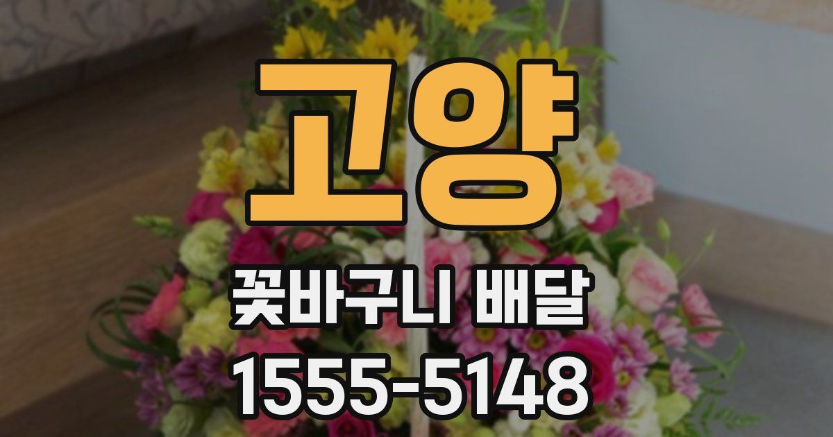 고양 꽃바구니 배달