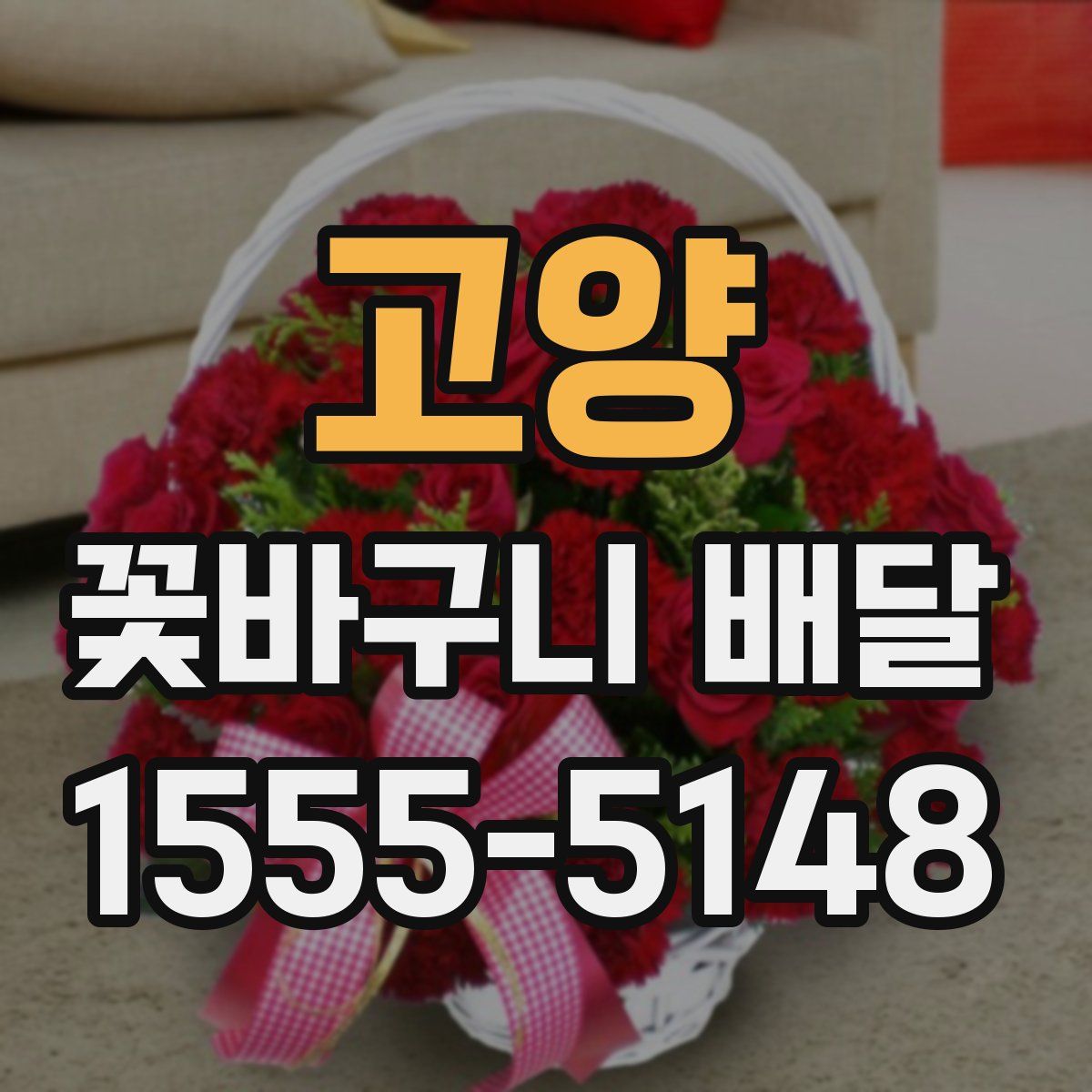 고양 꽃바구니 배달