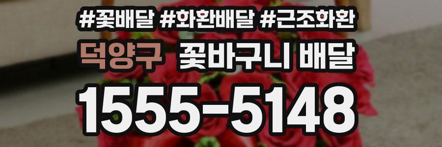 덕양구 꽃바구니 배달