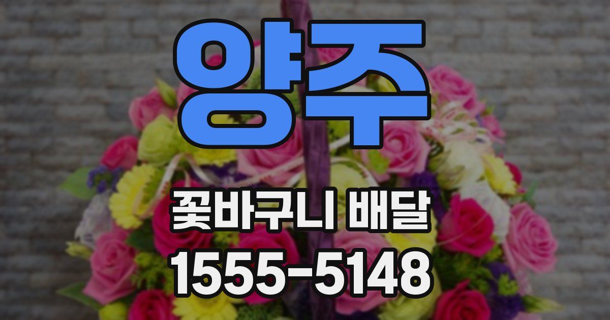양주 꽃바구니 배달