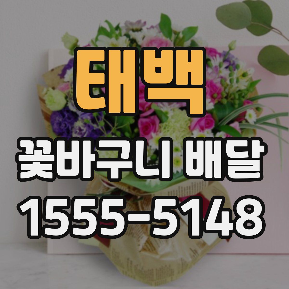 태백 꽃바구니 배달