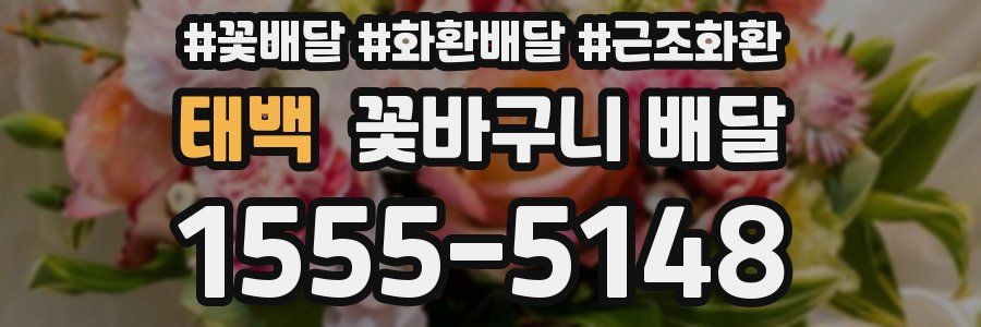 태백 꽃바구니 배달