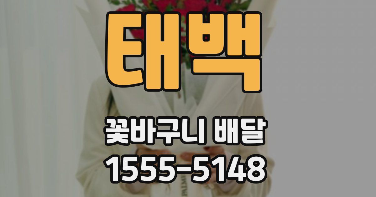 태백 꽃바구니 배달