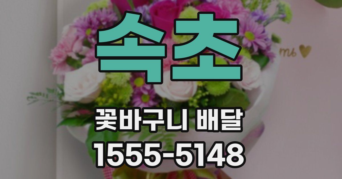 속초 꽃바구니 배달