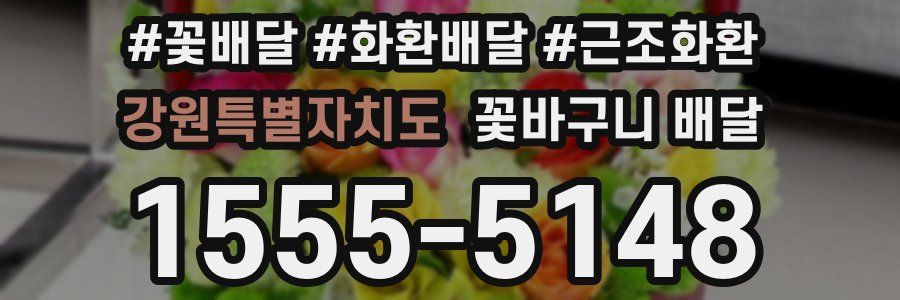 강원특별자치도 꽃바구니 배달