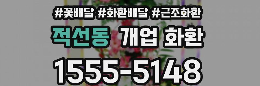 적선동 개업 화환