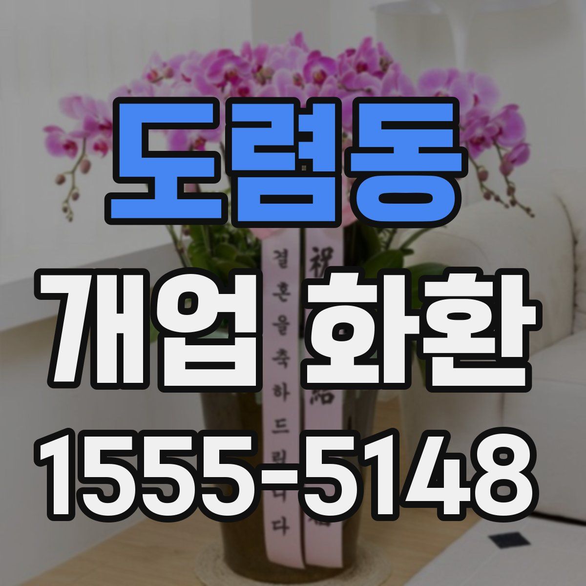도렴동 개업 화환