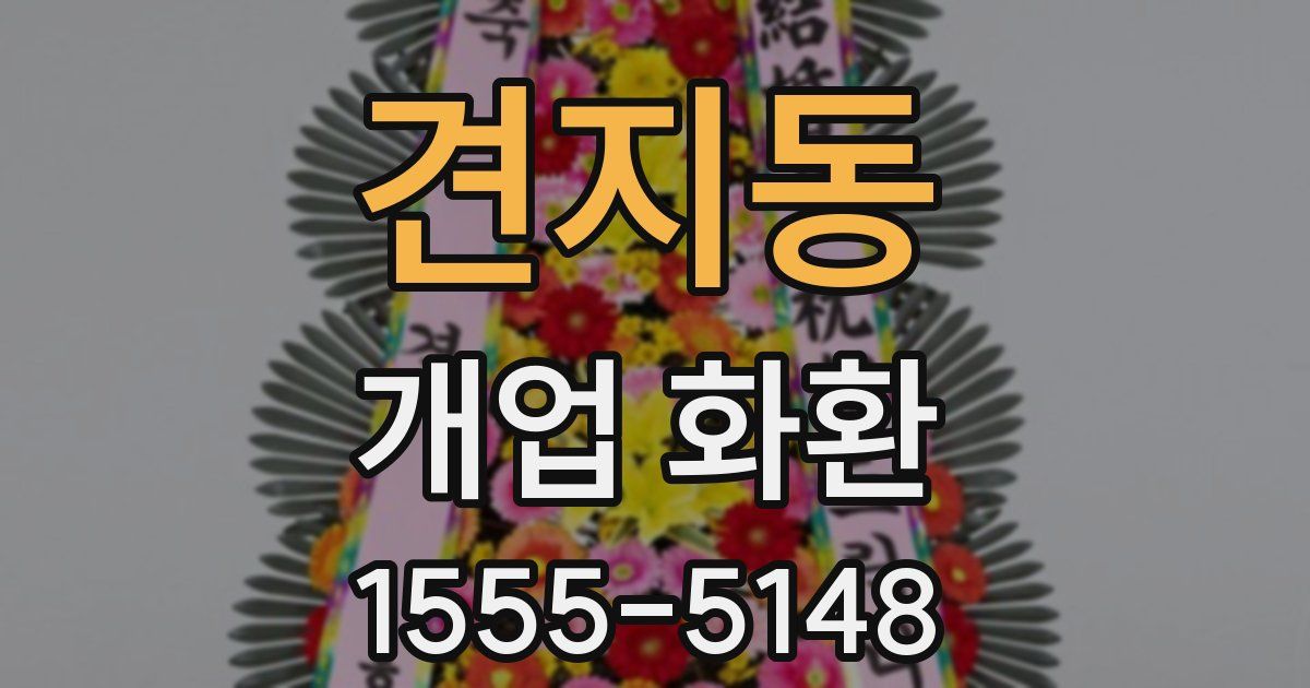 견지동 개업 화환