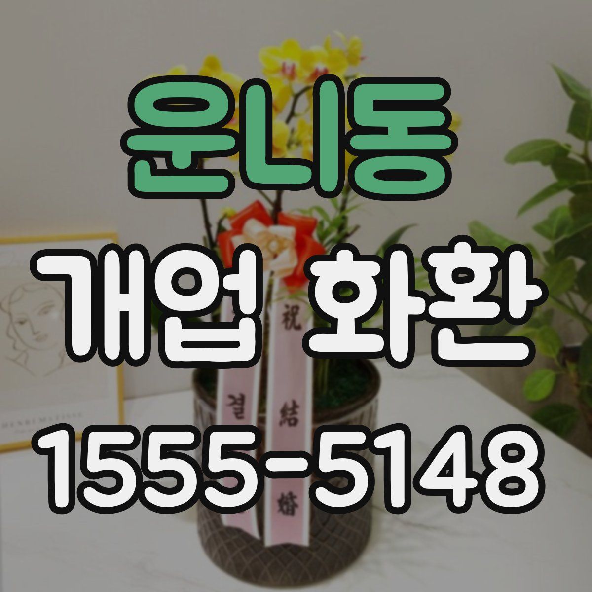 운니동 개업 화환