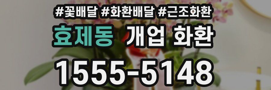 효제동 개업 화환