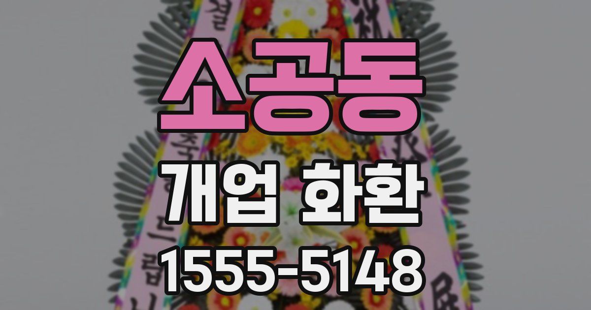 소공동 개업 화환