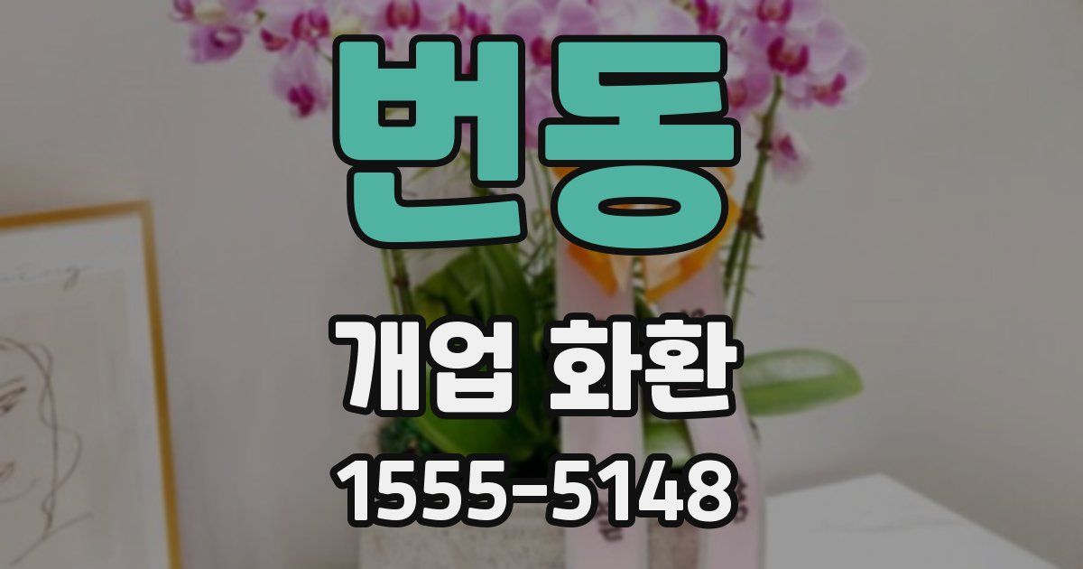 번동 개업 화환