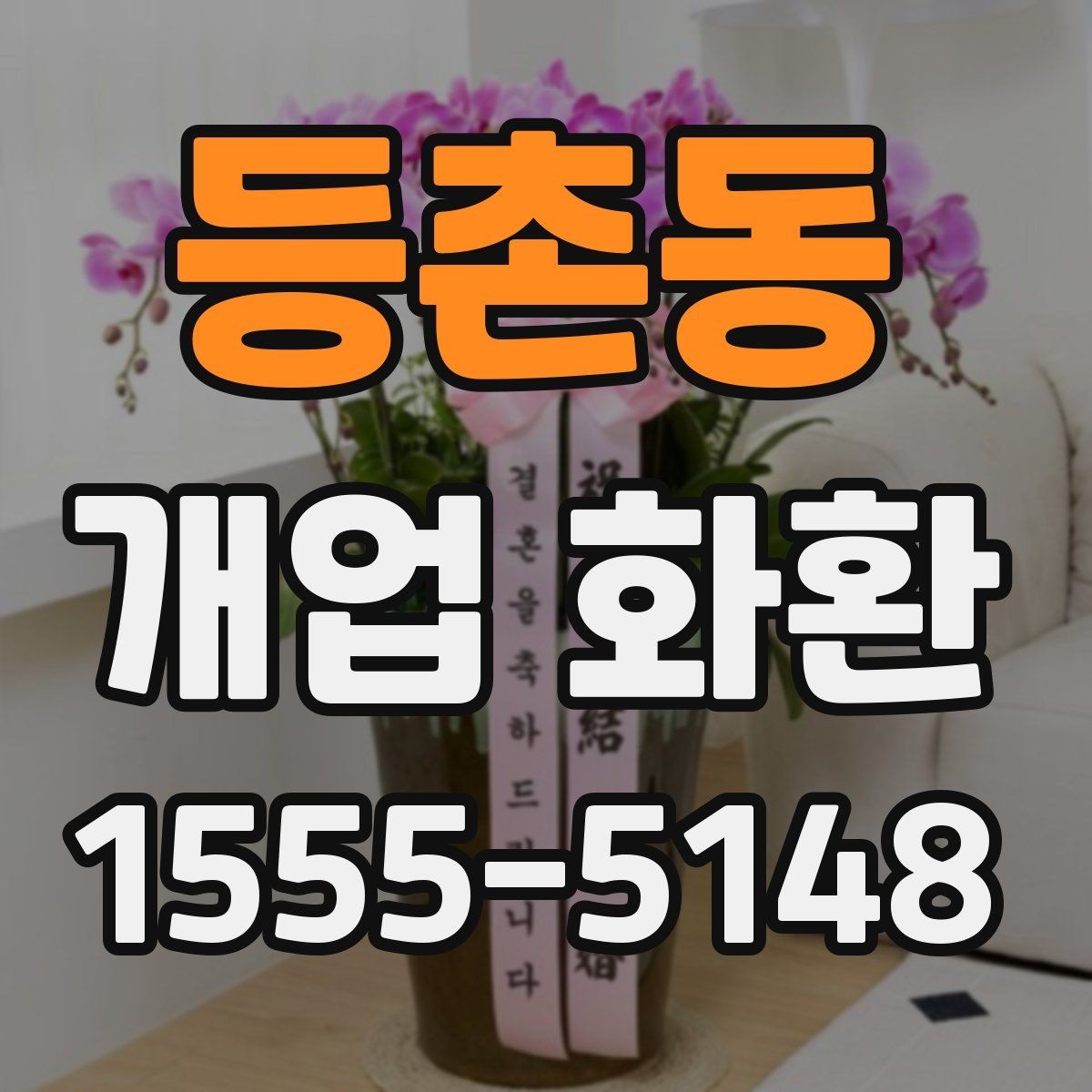 등촌동 개업 화환 상점 오픈 축하용으로 알맞은 구성