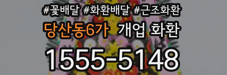 당산동6가 개업 화환