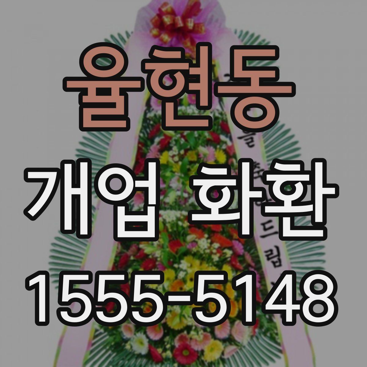 율현동 개업 화환 화분과 비교해 볼 만한 선택지