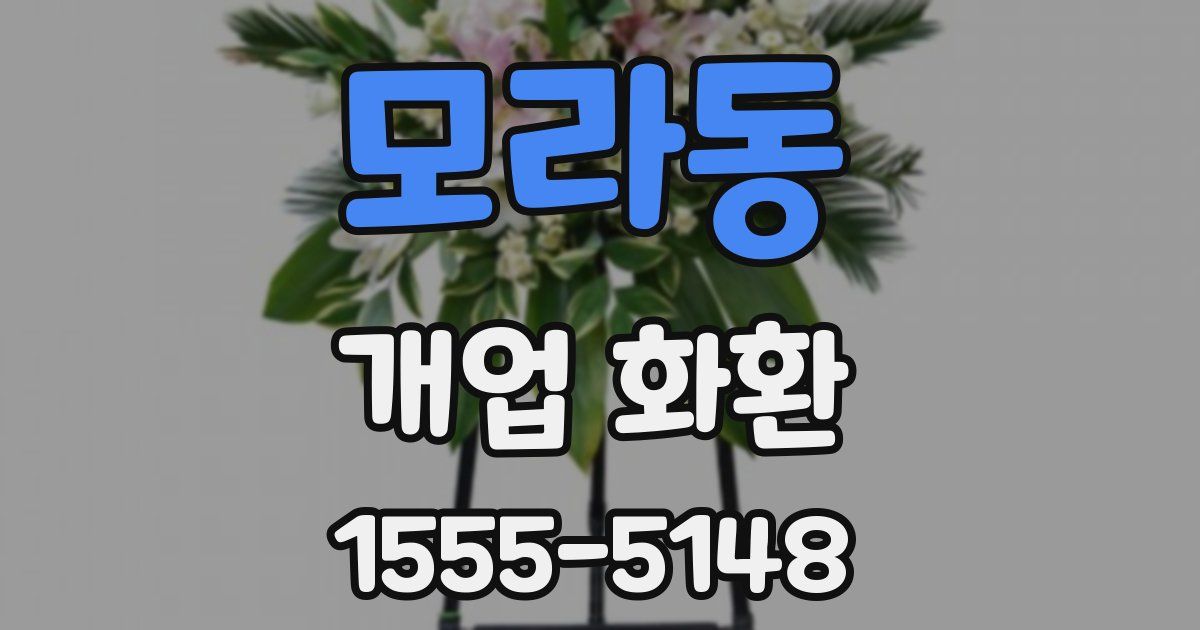 모라동 개업 화환