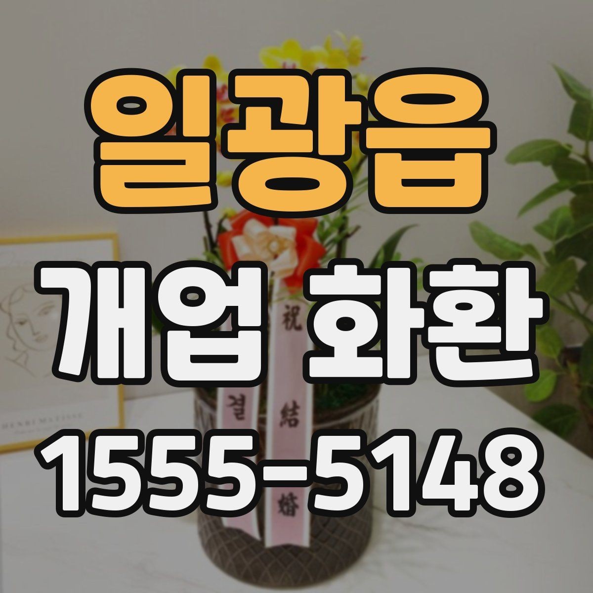 일광읍 개업 화환 지역별 배송 조건 살펴보기