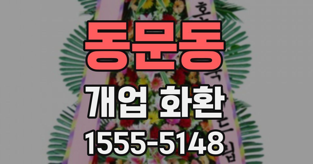 동문동 개업 화환