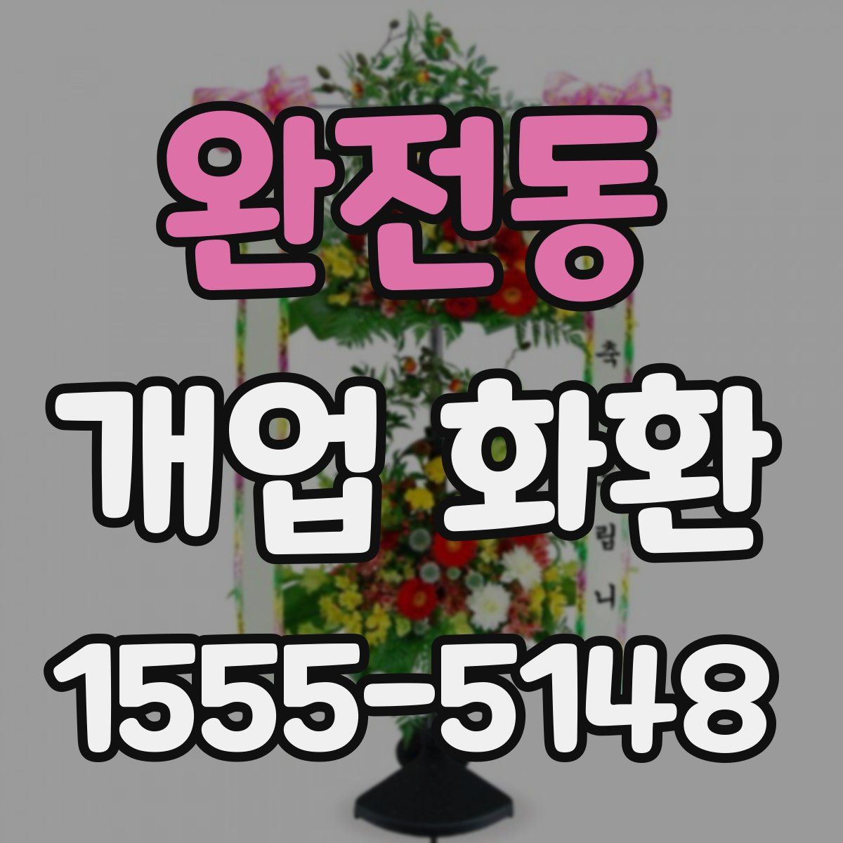 완전동 개업 화환