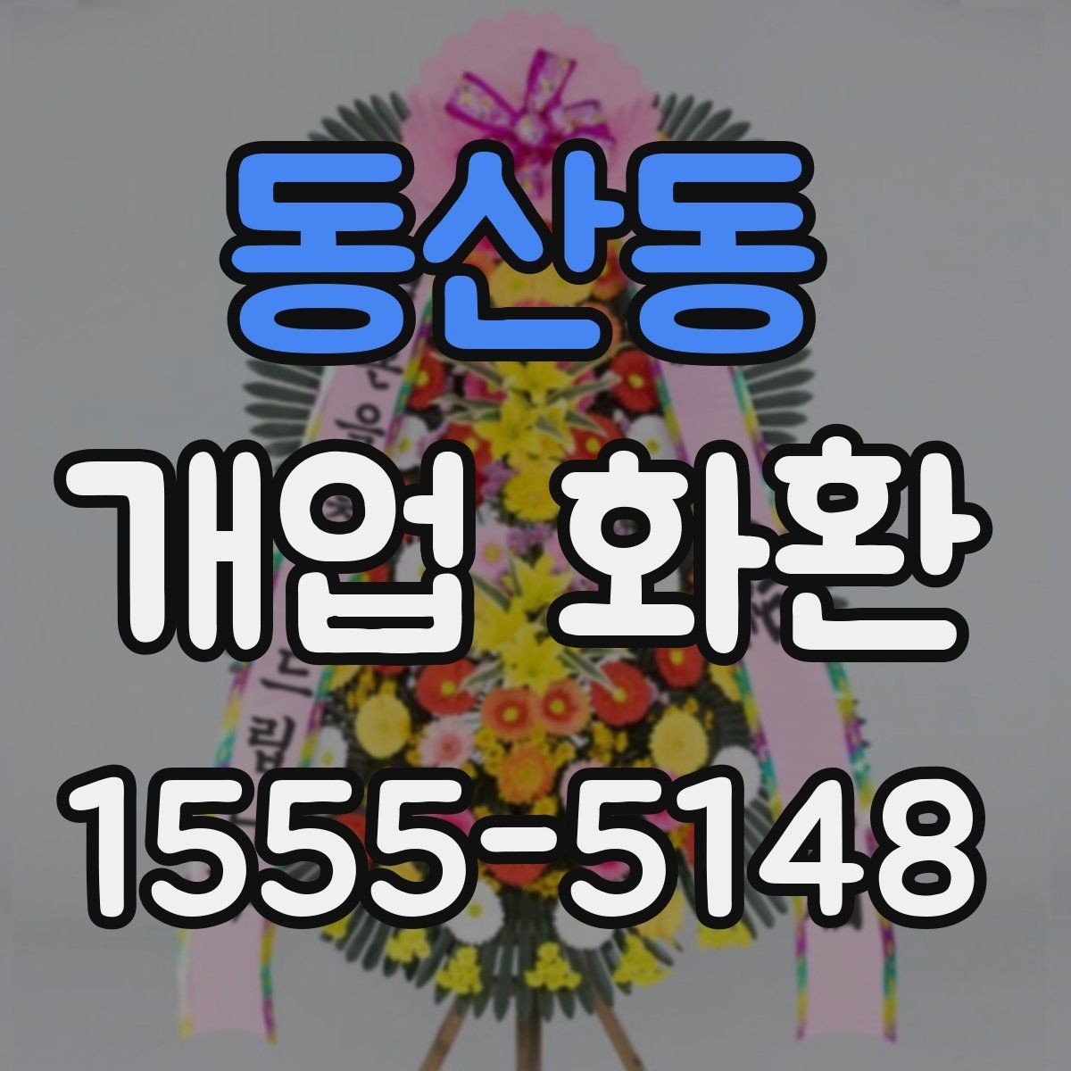 동산동 개업 화환 화분과 비교해 볼 만한 선택지