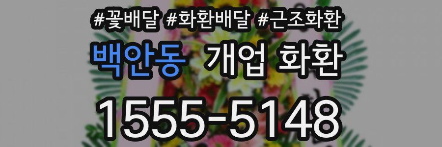 백안동 개업 화환